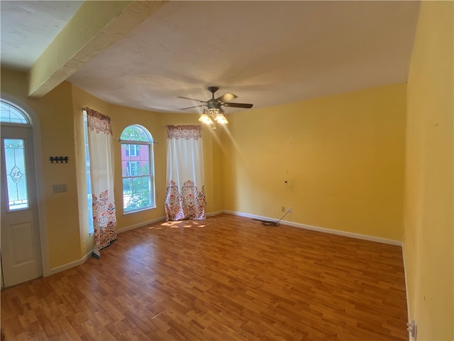 entryway featuring plenty of natural light, ceiling fan, and wood-type flooring