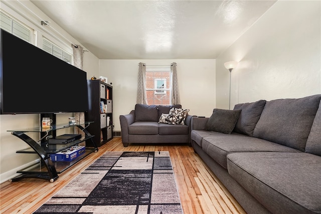 living room with wood-type flooring