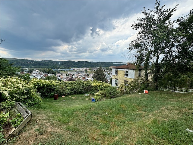 view of yard featuring a mountain view