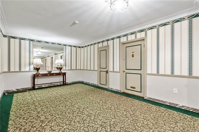 interior space with carpet and ornamental molding