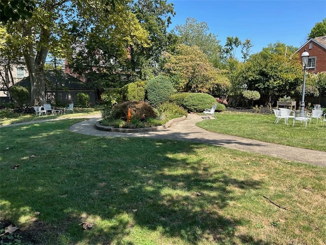 view of property's community featuring a yard