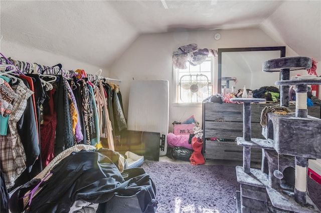 spacious closet with lofted ceiling and carpet