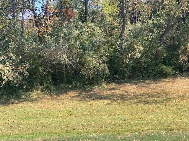 view of local wilderness