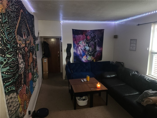 living room featuring carpet floors