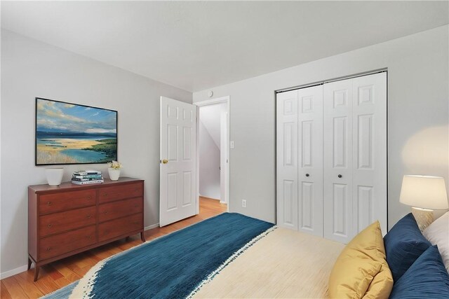 bedroom with wood-type flooring and a closet