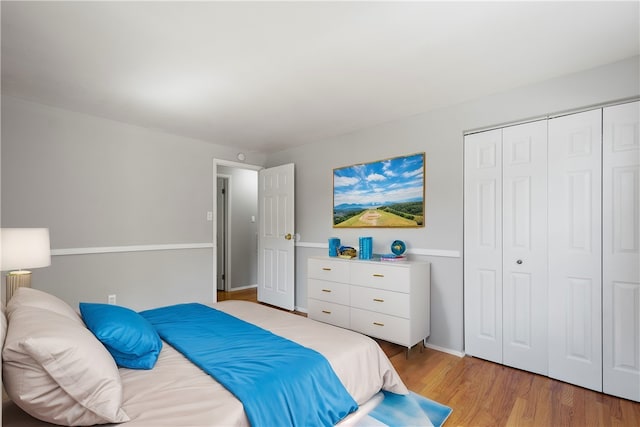 bedroom featuring light wood-type flooring and a closet