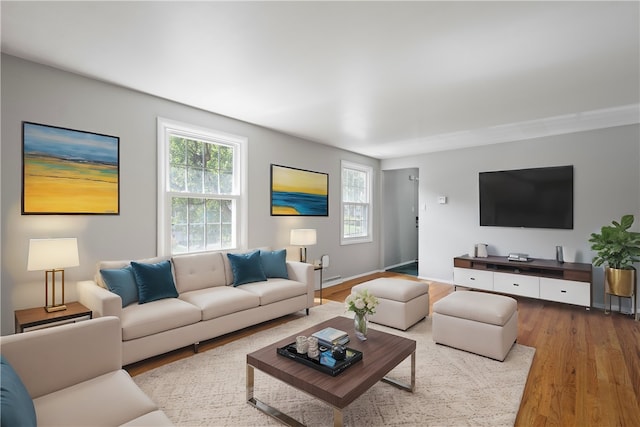 living room featuring wood-type flooring