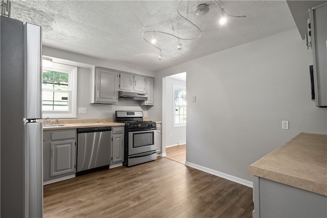 kitchen with gray cabinetry, stainless steel appliances, a wealth of natural light, and dark hardwood / wood-style flooring