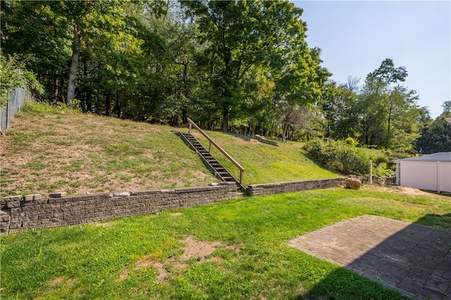 view of yard with a patio