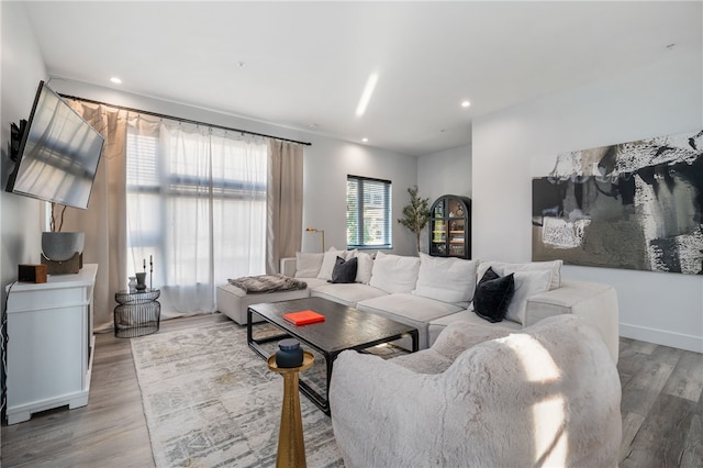 living room featuring light hardwood / wood-style flooring