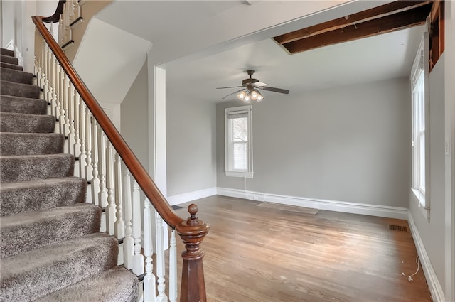 stairs with hardwood / wood-style flooring and ceiling fan