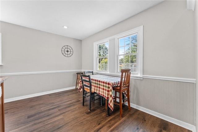 dining space featuring dark wood-type flooring