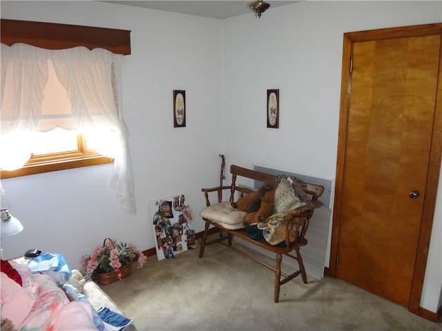 sitting room with carpet flooring