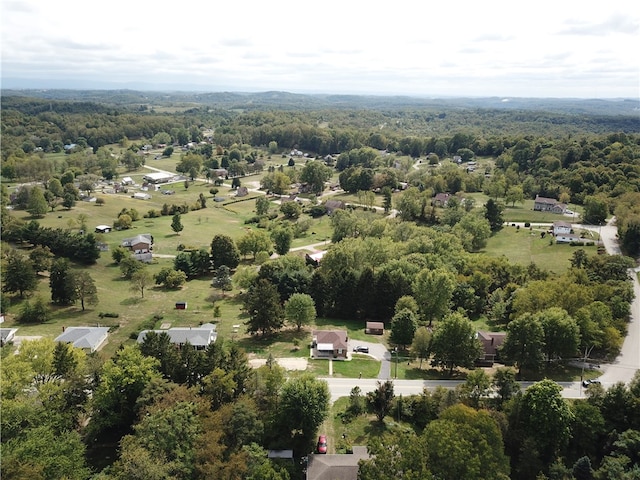 bird's eye view