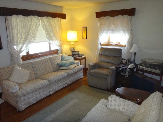 living room featuring hardwood / wood-style floors