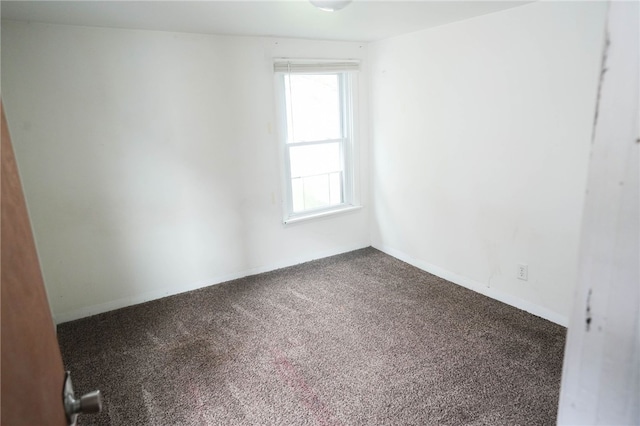 empty room featuring carpet