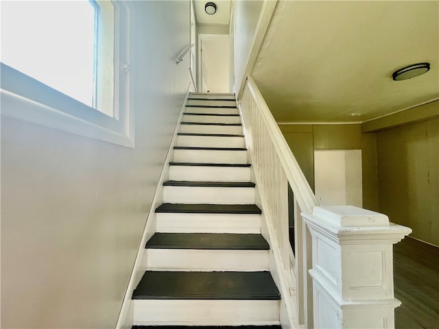 stairs with hardwood / wood-style flooring