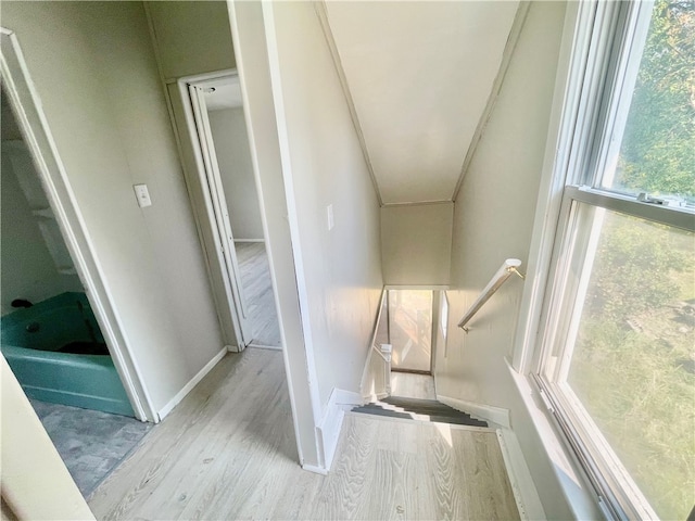 stairs featuring hardwood / wood-style floors