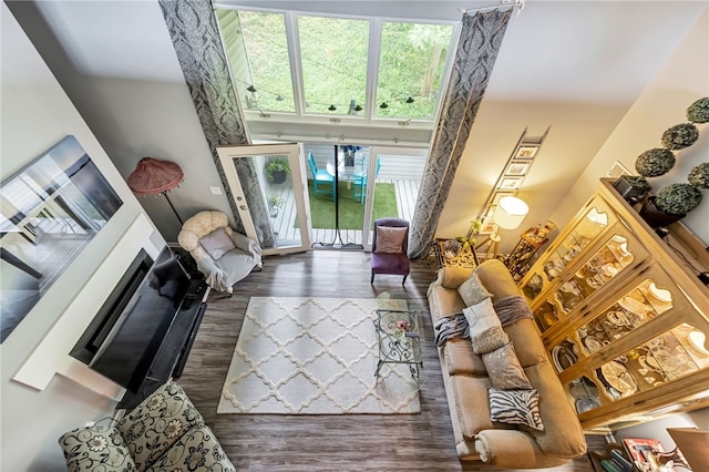 living room featuring dark hardwood / wood-style flooring