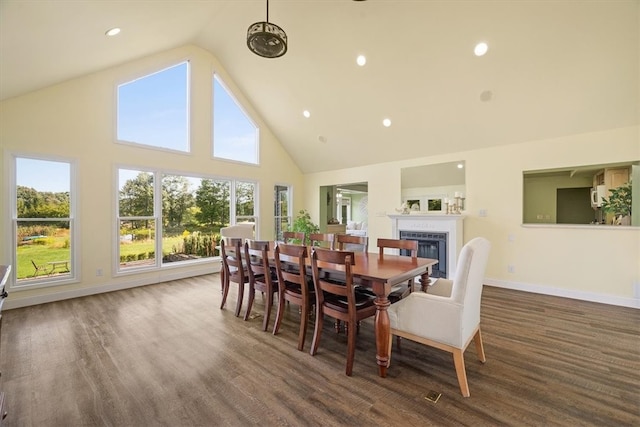 dining room featuring high vaulted ceiling and dark wood-type flooring