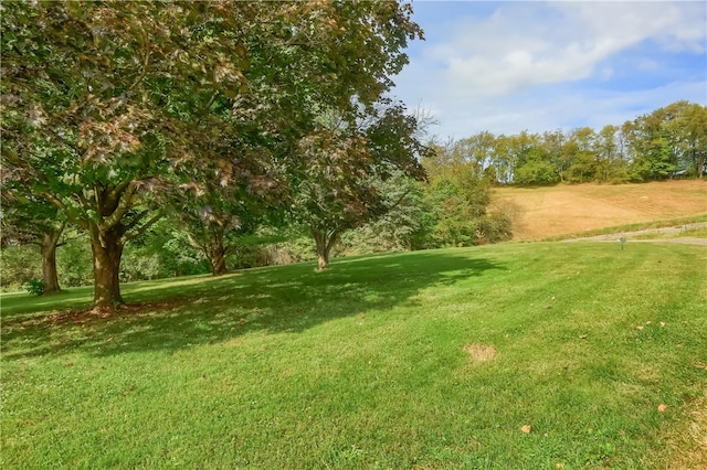 view of yard with a rural view