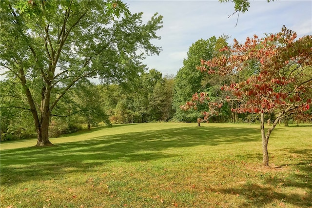 exterior space with a yard