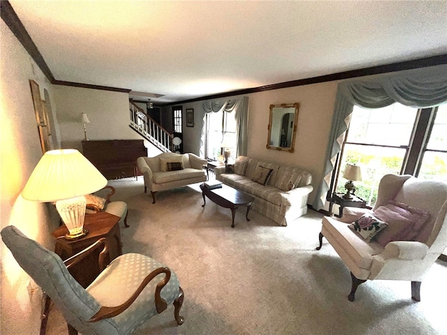 living room featuring a textured ceiling, carpet flooring, and crown molding