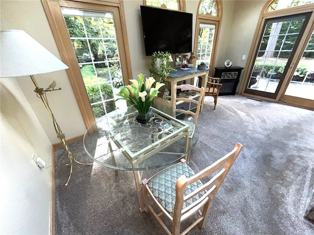 dining area featuring carpet flooring and a healthy amount of sunlight