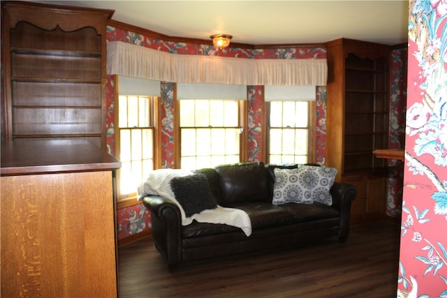 living room featuring dark hardwood / wood-style flooring