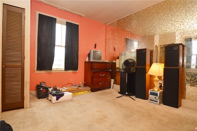 miscellaneous room featuring light colored carpet