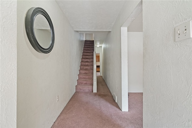 stairs featuring carpet floors and a textured ceiling