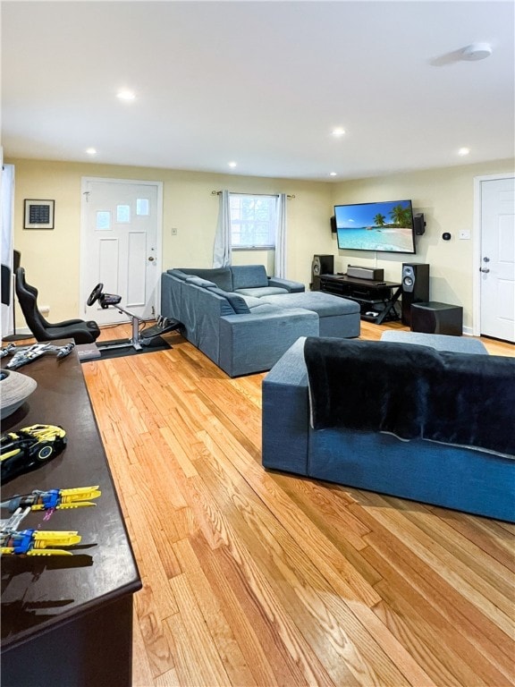 living room with hardwood / wood-style flooring