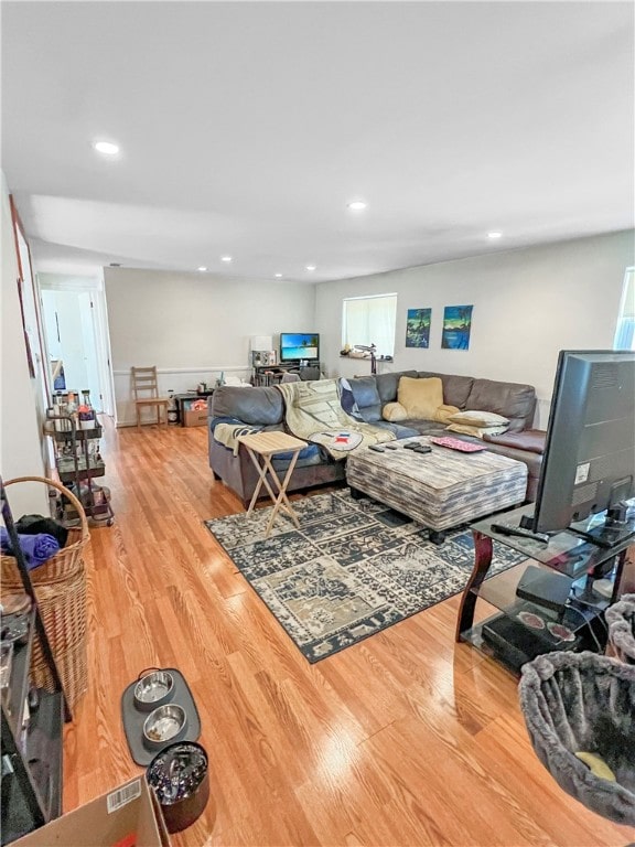 living room with wood-type flooring