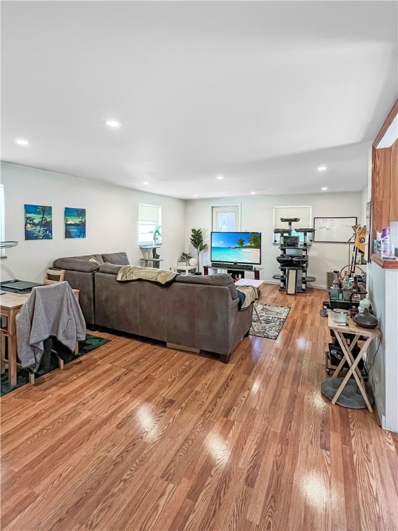 living room with light wood-type flooring