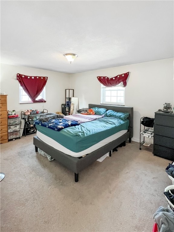 bedroom with carpet flooring