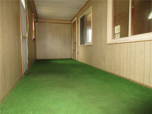 interior space with crown molding, carpet flooring, and wood walls