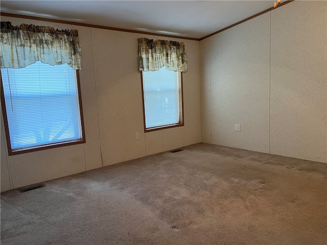 carpeted empty room featuring crown molding