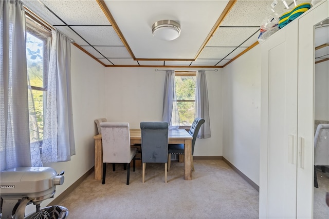 carpeted dining room featuring a paneled ceiling