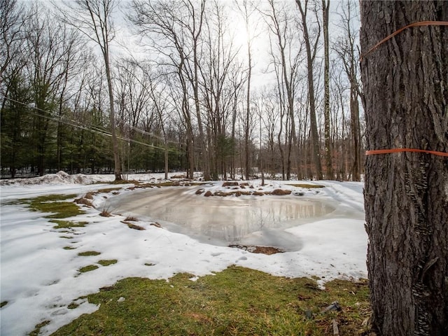 view of yard covered in snow