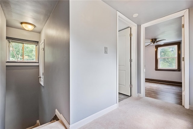 hallway featuring hardwood / wood-style floors and plenty of natural light