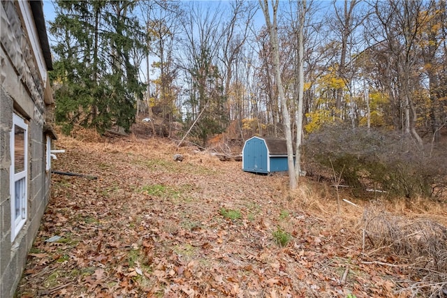 view of yard featuring a shed