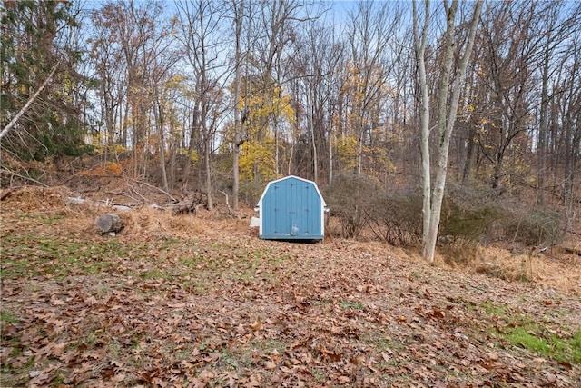 view of yard featuring a shed