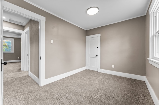 carpeted empty room featuring crown molding