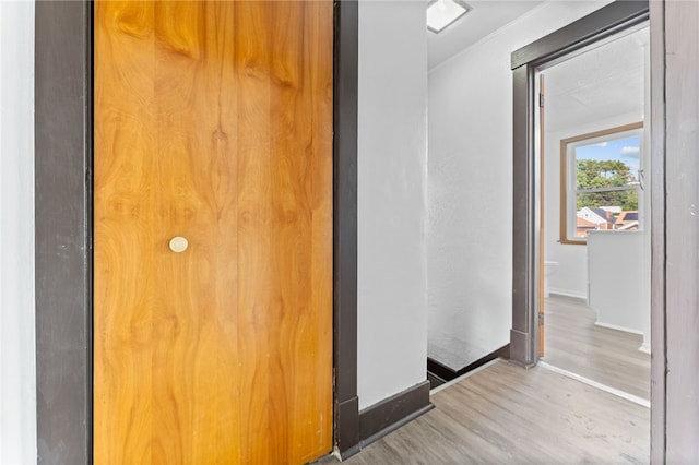 hall featuring ornamental molding and hardwood / wood-style floors