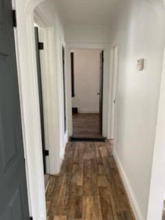 hall featuring dark hardwood / wood-style floors