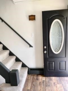 entrance foyer featuring wood-type flooring