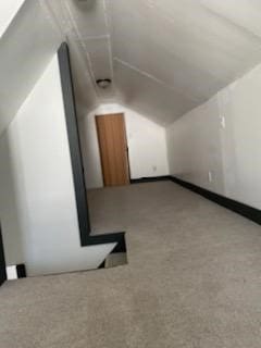 additional living space featuring lofted ceiling and light colored carpet