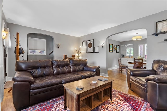 living room featuring light hardwood / wood-style flooring