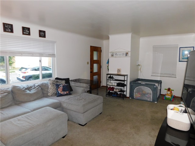 living room with carpet floors