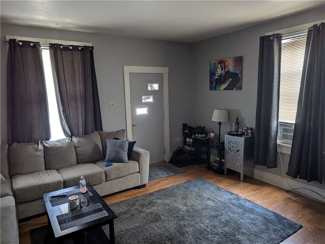 living room with wood-type flooring and a healthy amount of sunlight